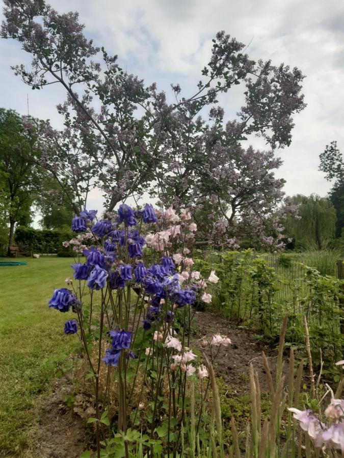 B&B Het Klontje Vriescheloo ภายนอก รูปภาพ