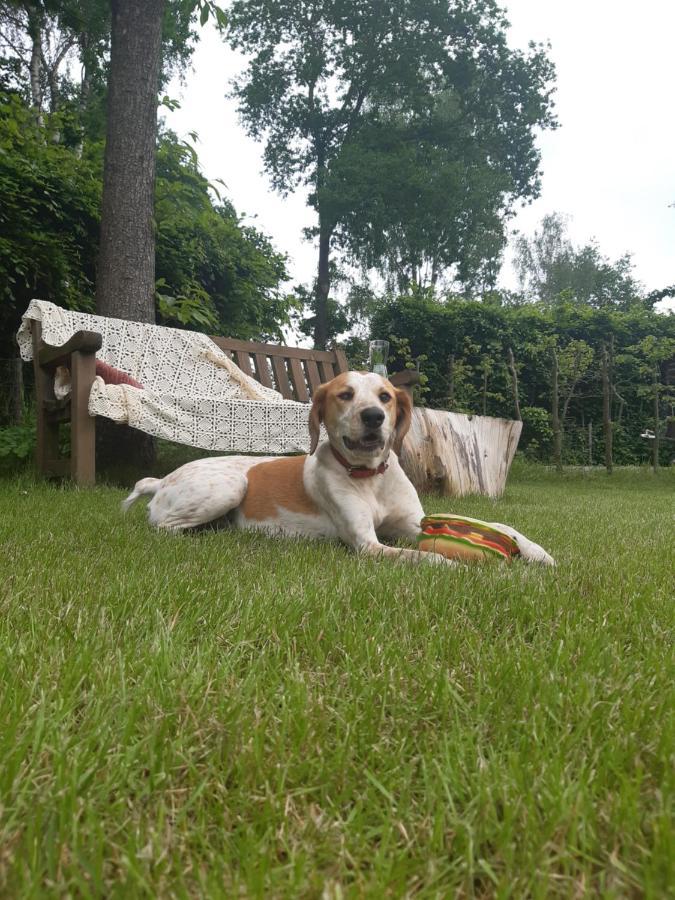 B&B Het Klontje Vriescheloo ภายนอก รูปภาพ